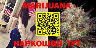 прущие грибы Кингисепп