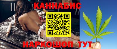 прущие грибы Кингисепп